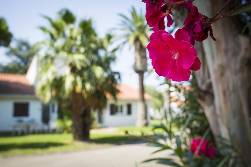 Hotel Le Domaine Du Mas Blanc By Popinns Alenya Exterior photo